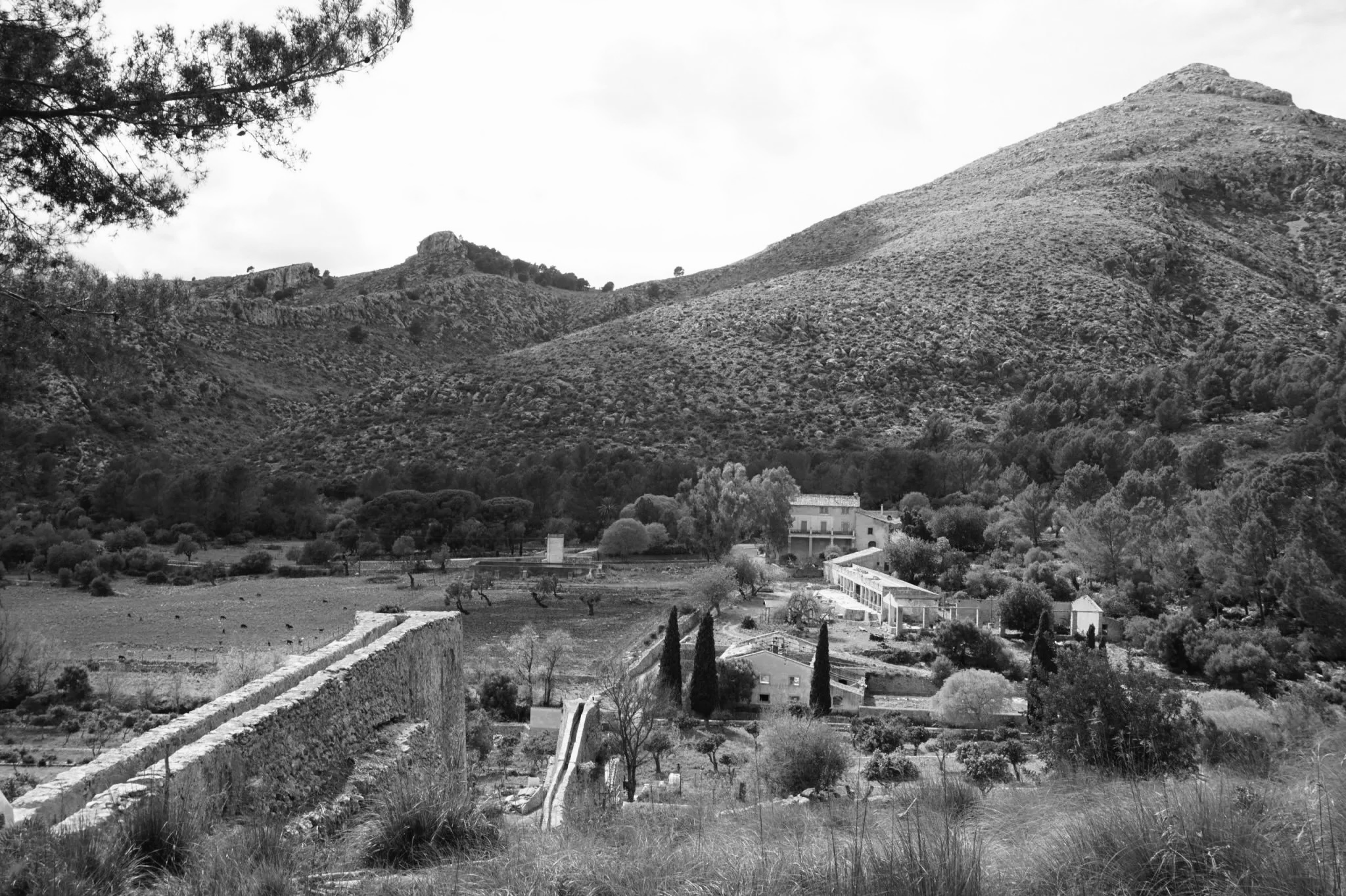 Jardines de las possessions mallorquinas: árboles, agua y simbolismo